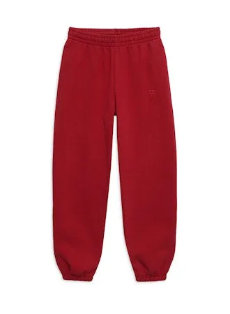 Anine Bing - Karter Joggers in Washed Red