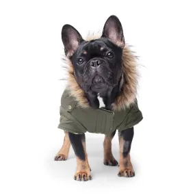 Canada Pooch Alaskan Army Parka Size 22 Army Green Insulated Dog Coat