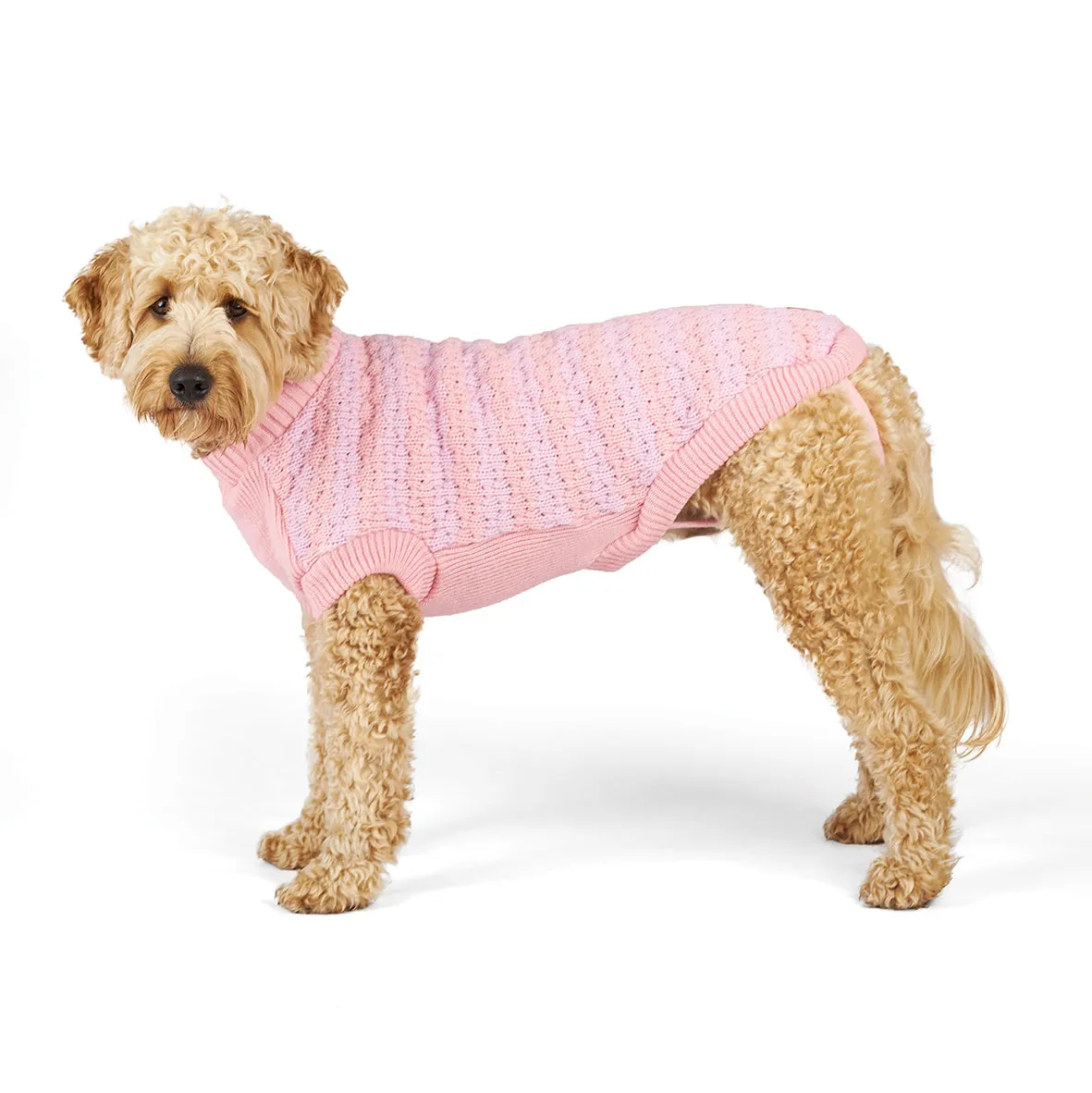 Kazoo Apparel Posy Dog Jumper Large ***