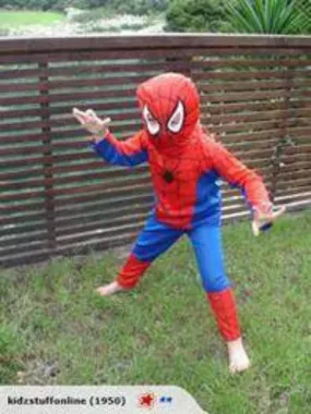 Spiderman Dress up small