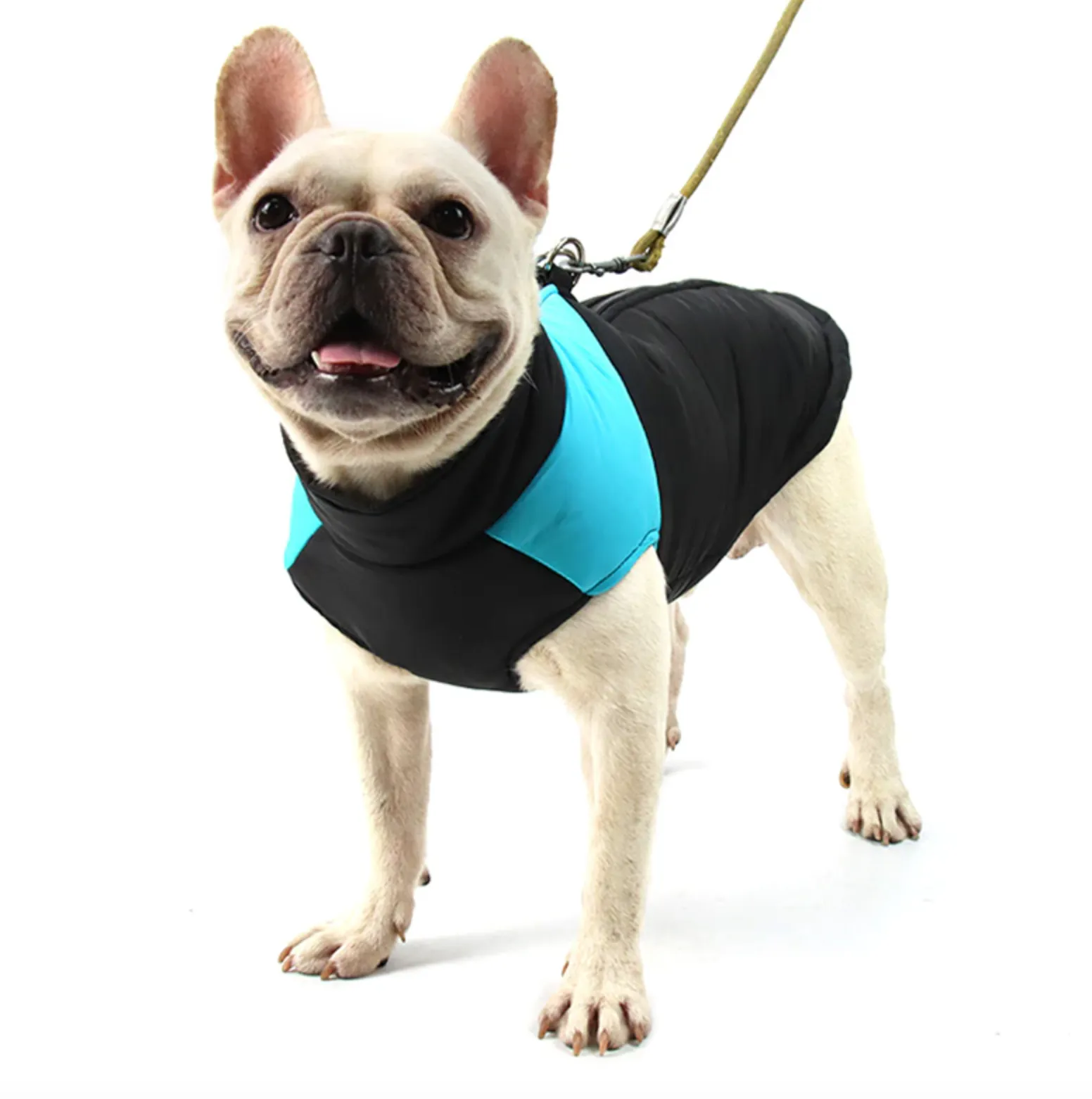 Waterproof Vest Jacket for French Bulldog (CS020)