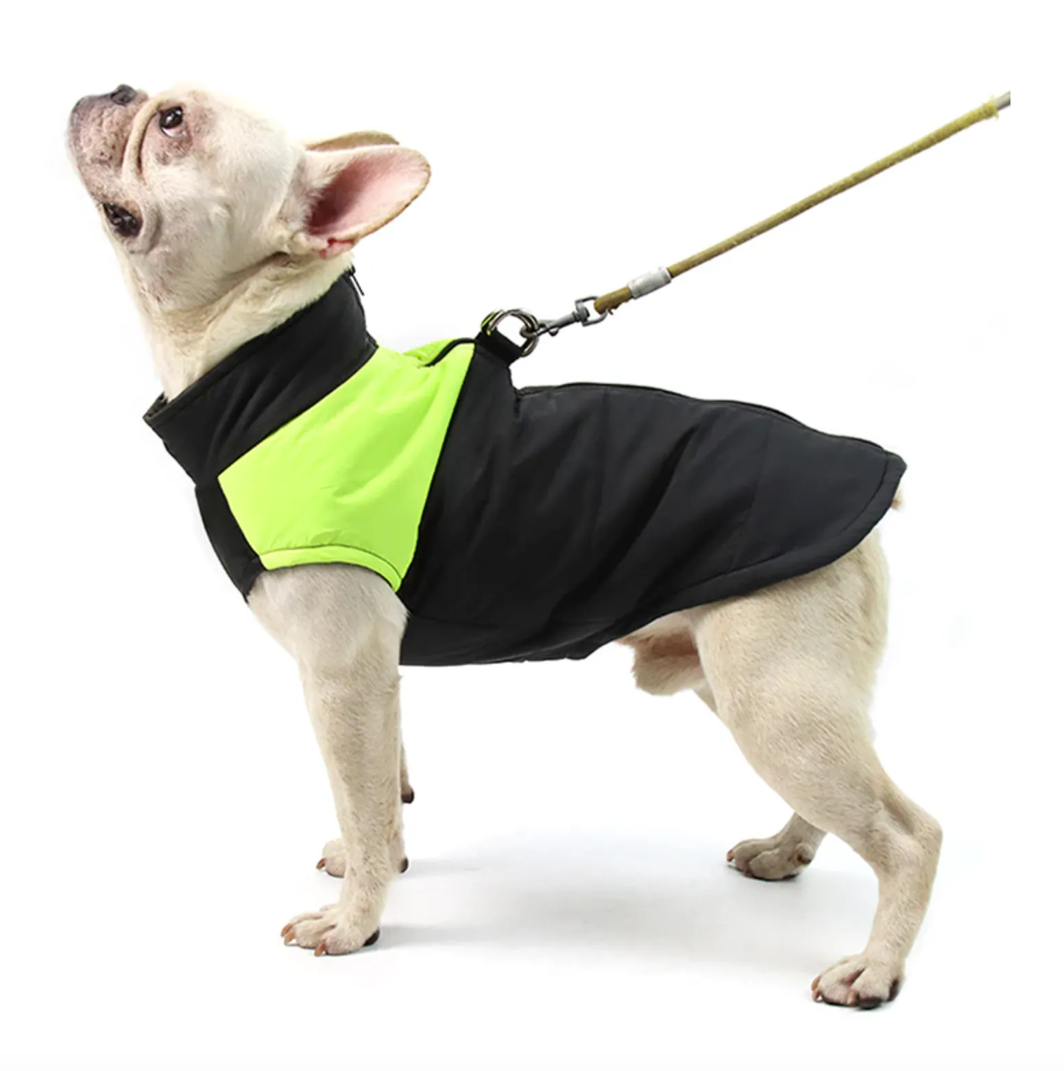 Waterproof Vest Jacket for French Bulldog (CS020)