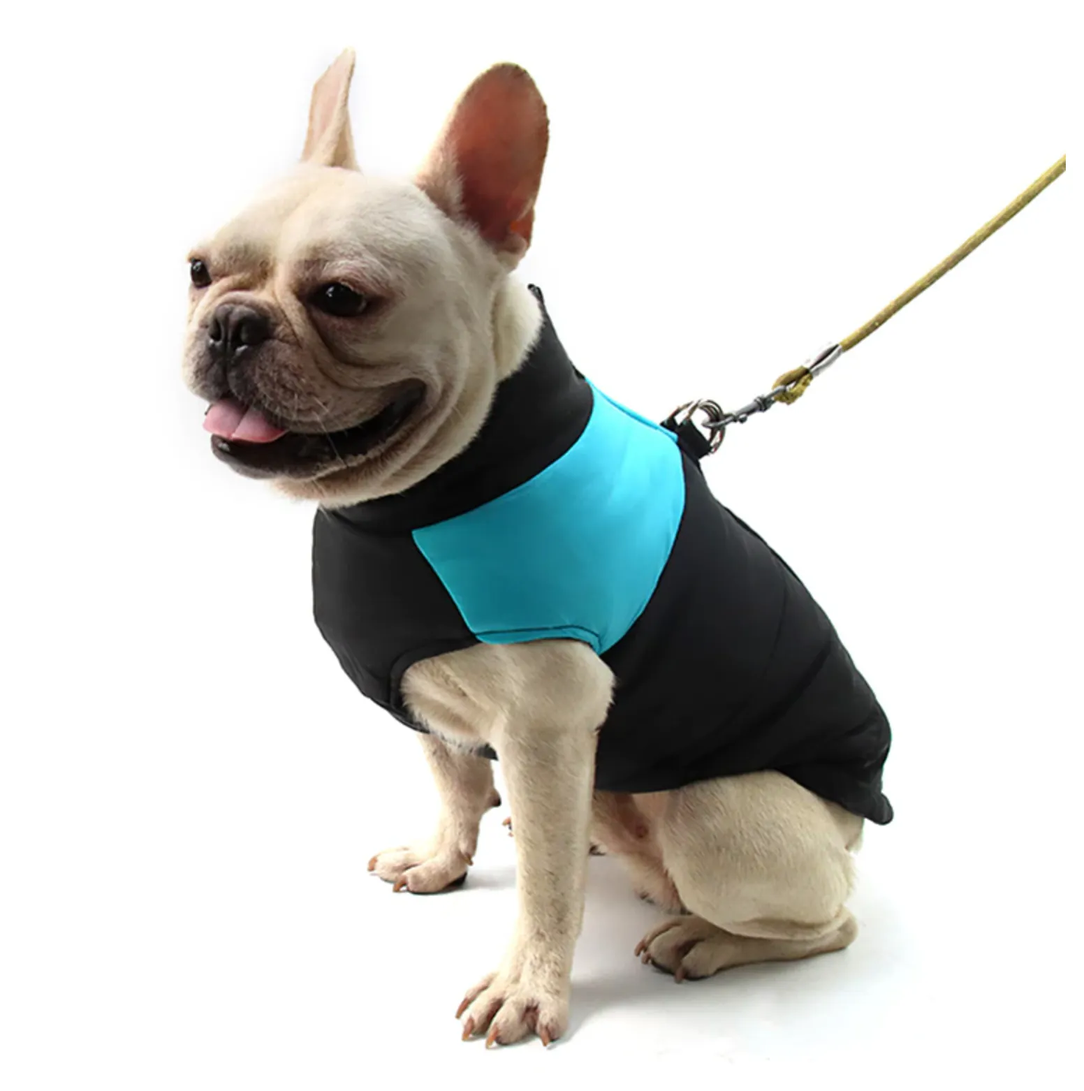 Waterproof Vest Jacket for French Bulldog (CS020)