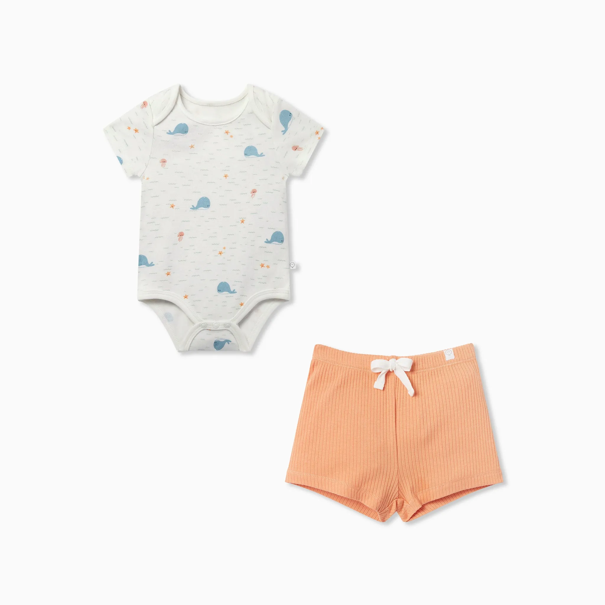 Whale Short Sleeve Bodysuit & Ribbed Shorts Outfit